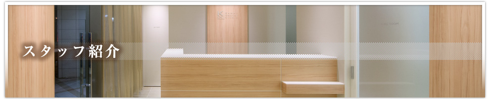 スタッフ紹介